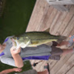 Meet your Posher, Isaac